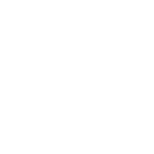 Shooting Erlebnis